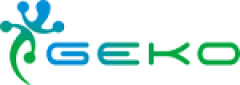 Logo Geko SpA