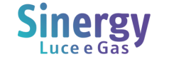 Logo Sinergy